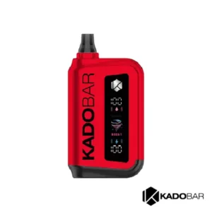 Watermelon Ice Kado Bar Rizz 25000 Puffs Disposable Vape